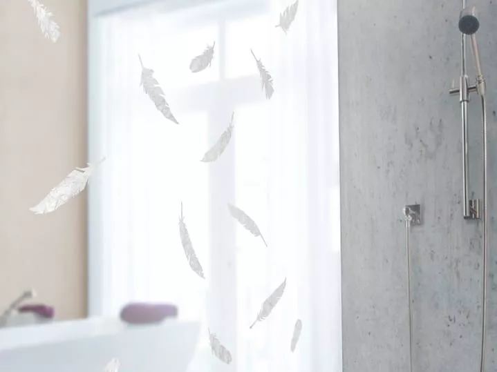Gecko in the Box | Volare