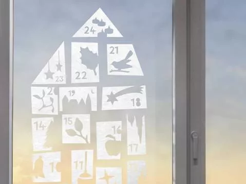 Gecko in the Box | Adventkalender